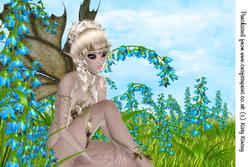 Amongst the Bluebells Fairy A4 Card Front