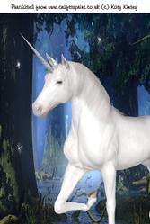 Unicorn Dream A4 Card Front