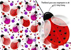 Lots of Ladybirds Shaped Front Print and Fold Card