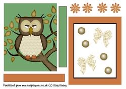 Cute Wise Owl Shaker Card