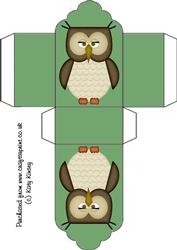 Cute Wise Owl Tag Gift Box