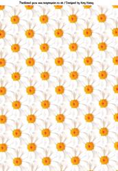 Lazy Daisy Backing Paper