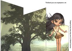 Pocahontas Cascade Card