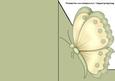 Yellow & Green Butterfly A5 Shaped Front Print and Fold Card