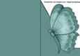 Teal Butterfly A5 Shaped Front Print and Fold Card