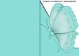 Turquoise Butterfly A5 Shaped Front Print and Fold Card