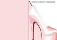 High Heel Shoe Print and Fold Shaped Front Card in Peach
