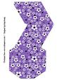 Daisy Daisy in Purple Pyramid Gift Box
