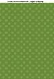She Sells Sea Shells Backing Paper in Green