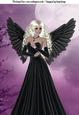 Twilight Fairy A4 Topper in Blonde