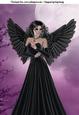 Twilight Fairy A4 Topper in Brunette
