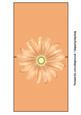 Peach Daisy Over the Edge Card