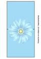 Blue Daisy Over the Edge Card
