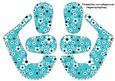3D Baby Shoes in Daisy Daisy in Bright Blue