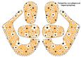 3D Baby Shoes in Daisy Daisy in Orange