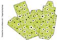 Daisy Daisy in Lime Green Cake Slice Gift Box