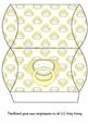 New Baby Dummy Pacifier Pillow Gift Box in Lemon