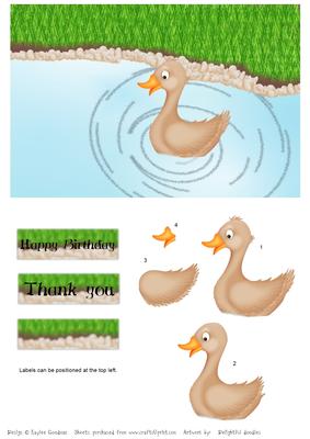 Duck in a Pond