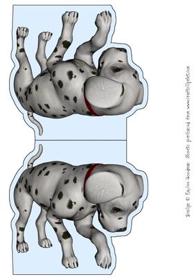 Dalmatian Puppy