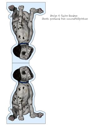 Sitting Dalmatian Dog
