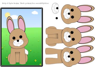 Bunny Rabbit in a Meadow