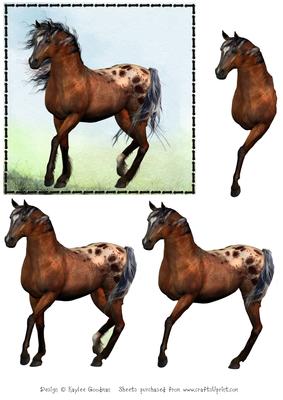 Beautiful Decoupage Horse Card