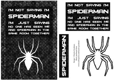 I'm Not Saying I'm Spiderman Quote