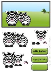 Safari Zebra