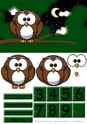 Owl in a Tree