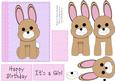 Cute Girly Bunny Rabbit Card