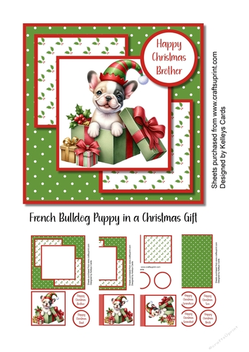 French Bulldog Puppy in a Christmas Gift