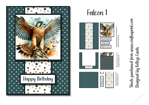 Falcon 1