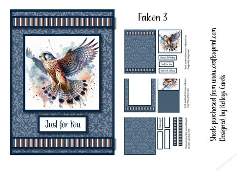 Falcon 3