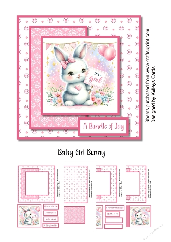 Baby Girl Bunny