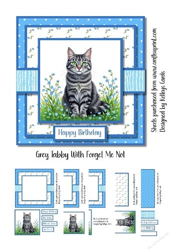 Grey Tabby With Forget Me Nots
