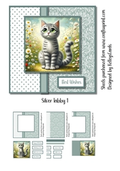 Silver Tabby 1