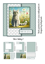 Silver Tabby 2