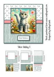 Silver Tabby 3