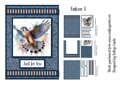 Falcon 3