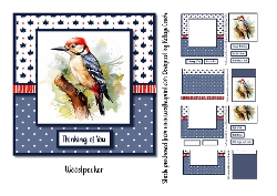 Woodpecker 