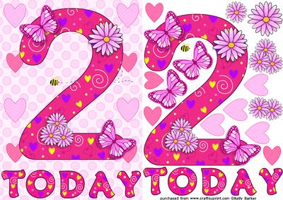 Two Today Girl Butterflies and Flowers A5 Decoupage