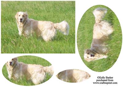 Golden Retriever in the Long Grass Pyramage