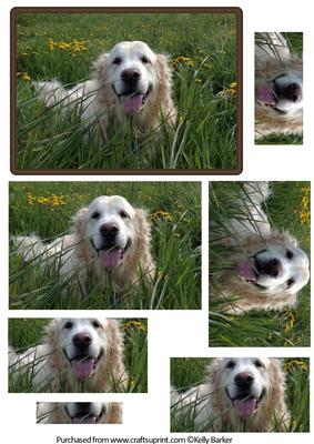 Dog in the Dandelions Pyramid