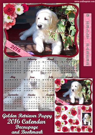 Golden Retriever Puppy 2016 Uk Calendar Mini Kit