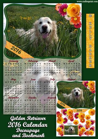 Golden Retriever Dog 2016 Uk Calendar Mini Kit