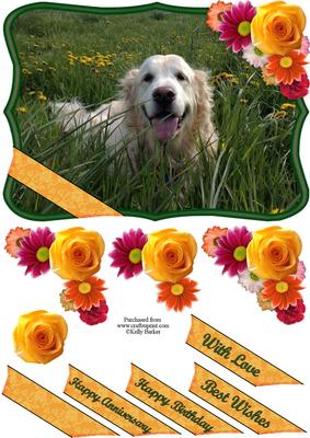 Golden Retriever Dog in the Dandelions Flowers Decoupage