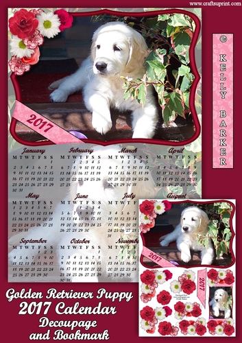Golden Retriever Puppy 2017 UK Calendar Mini Kit