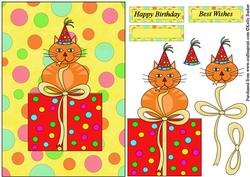 Birthday Cat on a Present