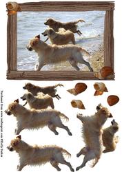 Golden Retriever Dogs in the Sea Decoupage