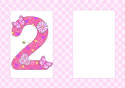 Two Today Girl Butterflies and Flowers A5 Insert
